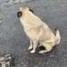 周闯天涯's profile picture