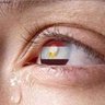 علاء الدين المصرى's profile picture