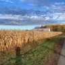 Фото профиля the view from here 🇨🇦