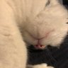 defendantP's profile picture