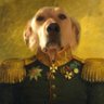 (★) DOG GENERAL (★) 🐸🧄 的头像