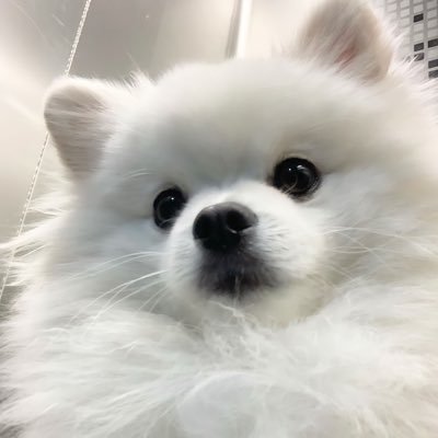 Nyan__1530's profile picture