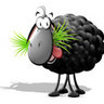 Maxant69's profile picture