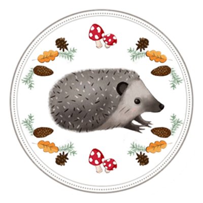 🦔 Erinaceus France's profile picture