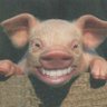 Benralouf's profile picture