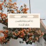 Фото профиля :\ شجن/: