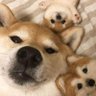 Jim 的头像