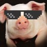 Profilbild von kanalow