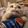 夜空's profile picture