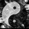 lucy muer's profile picture