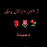 Фото профиля لر بختیاری