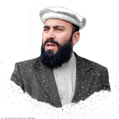 MaulanaZeb's profile picture