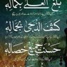 Фото профиля Muhammed Shafiq Anjum adv