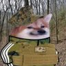 Фото профиля That Marine Fren, Bo