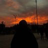 Betül Polat's profile picture