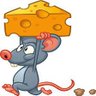 Profilbild von CheddarCollector