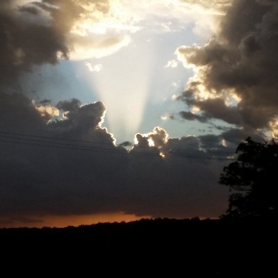 ConstitustionX's profile picture