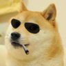 Profilbild von Immunized Doge