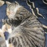 Maky profil fotoğrafı