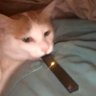 coka's profile picture
