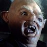Nopers's profile picture