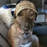 Casajudd's profile picture