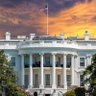 President Report 的头像