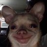 Mizzot's profile picture