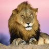 Фото профиля Dark Mane Lover