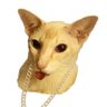 Фото профиля Catnificent