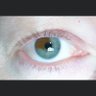 Nancy Bell's profile picture