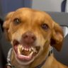 Tommythoughts's profile picture