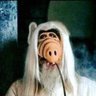 Mark Duffner's profile picture