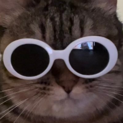 동그란 김방울🫧's profile picture