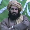 سیف العدل's profile picture