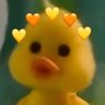 DUCK🦆's profile picture