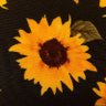 はなまる's profile picture