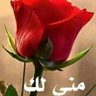 نصر أحمد غانم 的头像