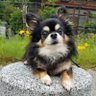 Profilbild von なおくん