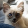 Imelda M profil fotoğrafı