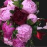 Фото профиля slwz44صابرة