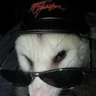 andy's profile picture