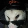 dudewatching's profile picture