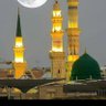 سعيد الذيابي's profile picture