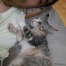 ari profil fotoğrafı