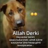 Arzu Ural profil fotoğrafı