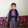 Zaid Ali's profile picture