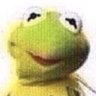 Profilbild von very froggy indeed.