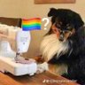 dedi's profile picture