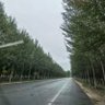 Фото профиля Yinglong He